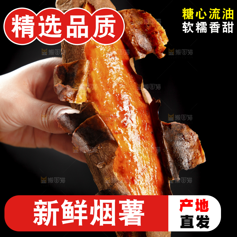 黑底上的山东烟薯