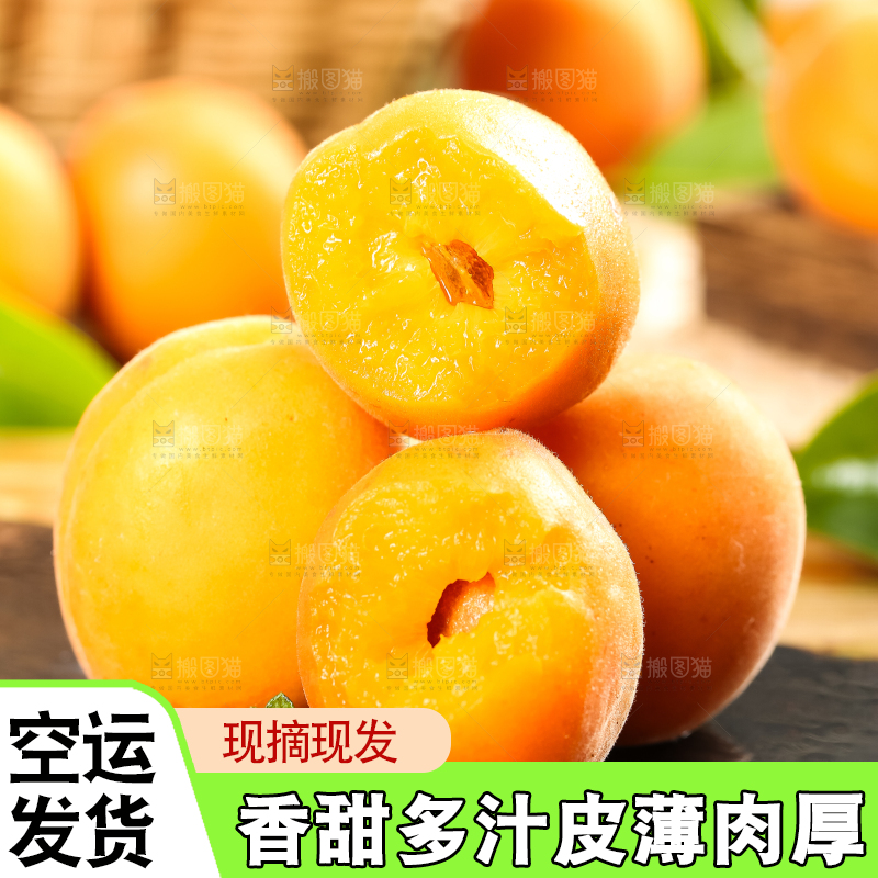 黑底上放着黄杏
