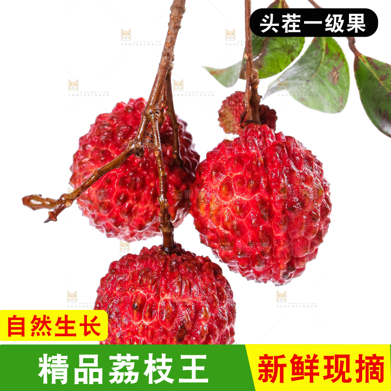 白底上摆放着荔枝王