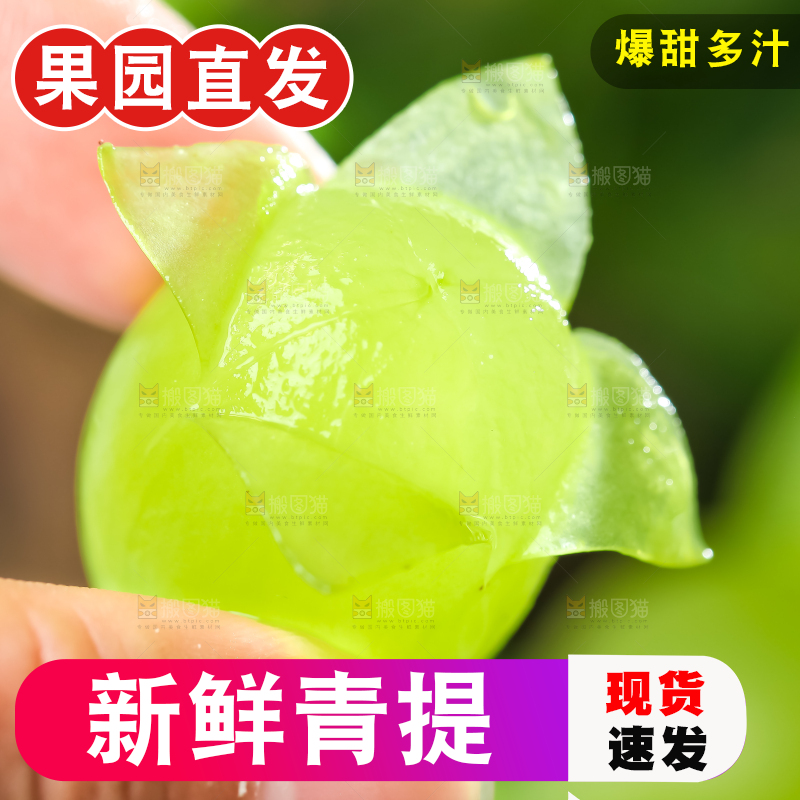 手里拿着青提