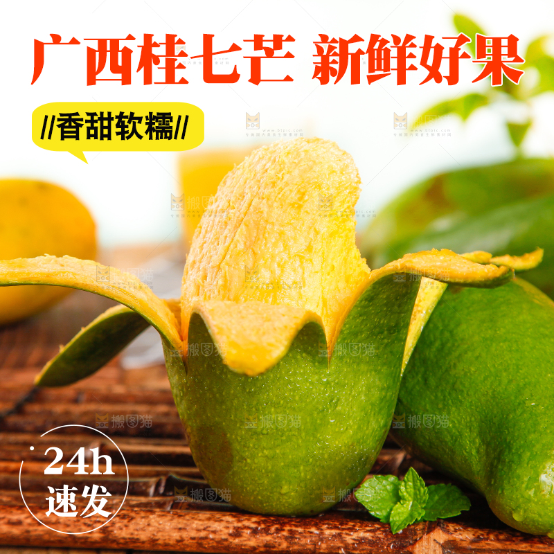 竹底上的青皮桂七芒