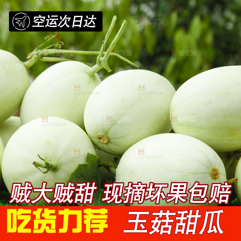 绿草地上摆放着玉菇甜瓜