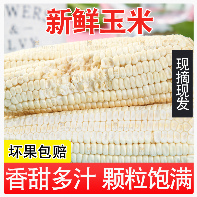 浅底上的牛奶水果玉米