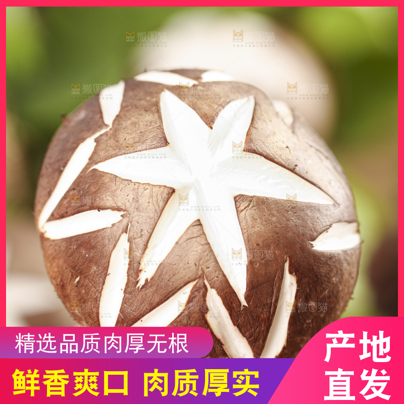 手里拿着香菇