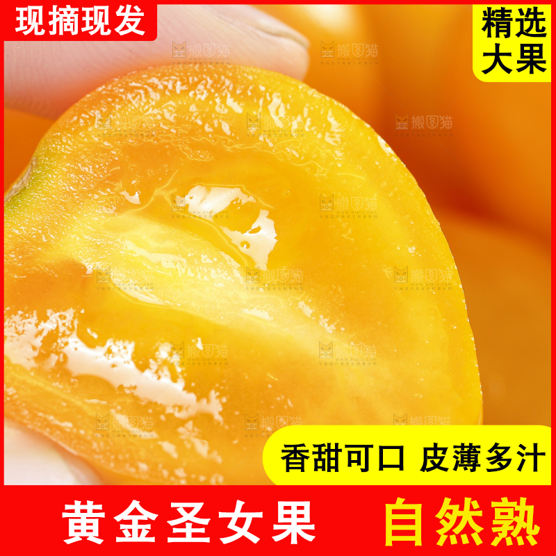 手里拿着黄金圣女果
