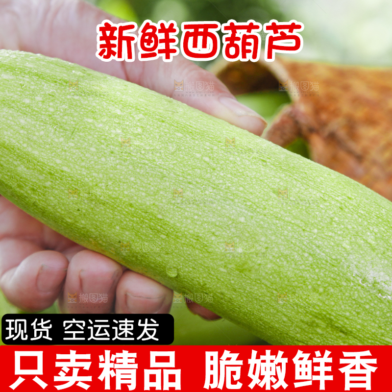手里拿着西葫芦瓜