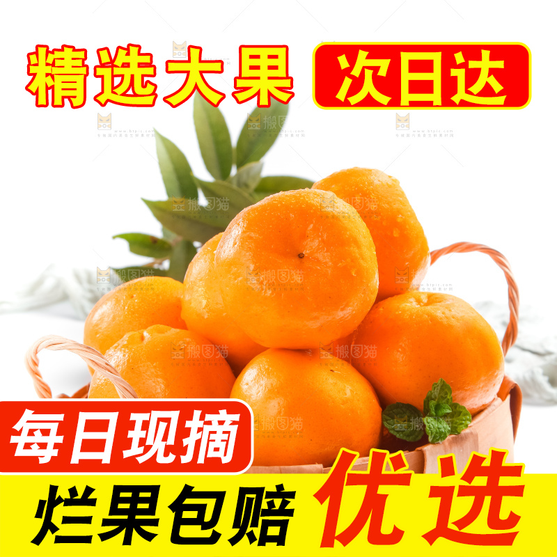 篮子里的广西椪柑