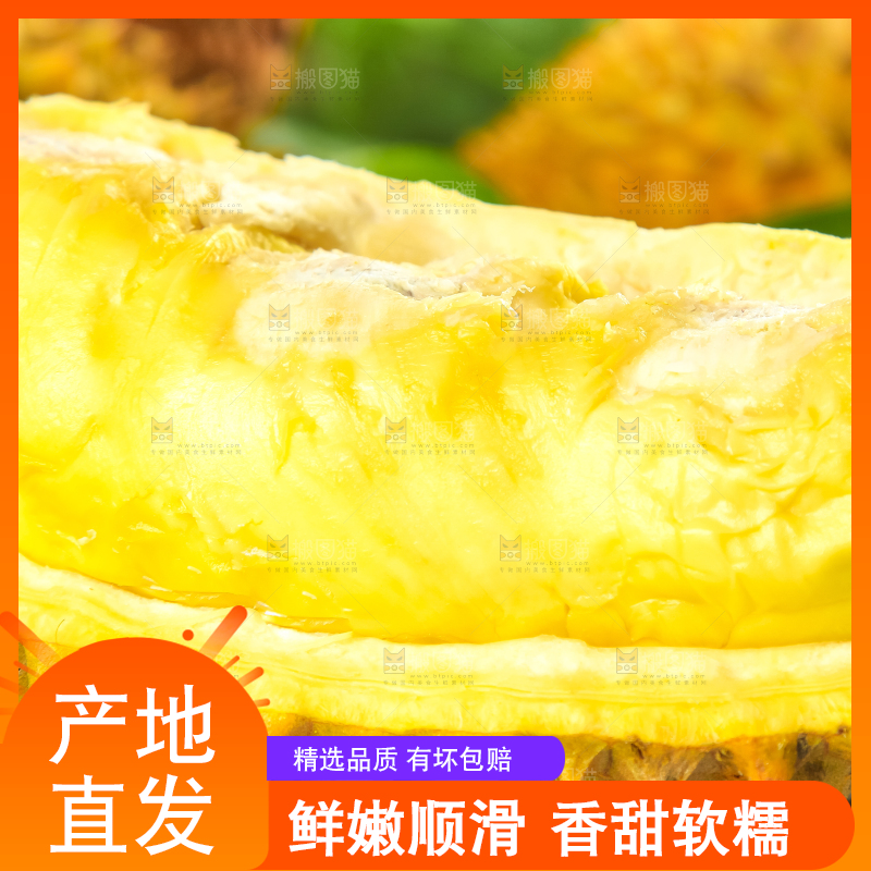 格子底上摆放着金枕头榴莲