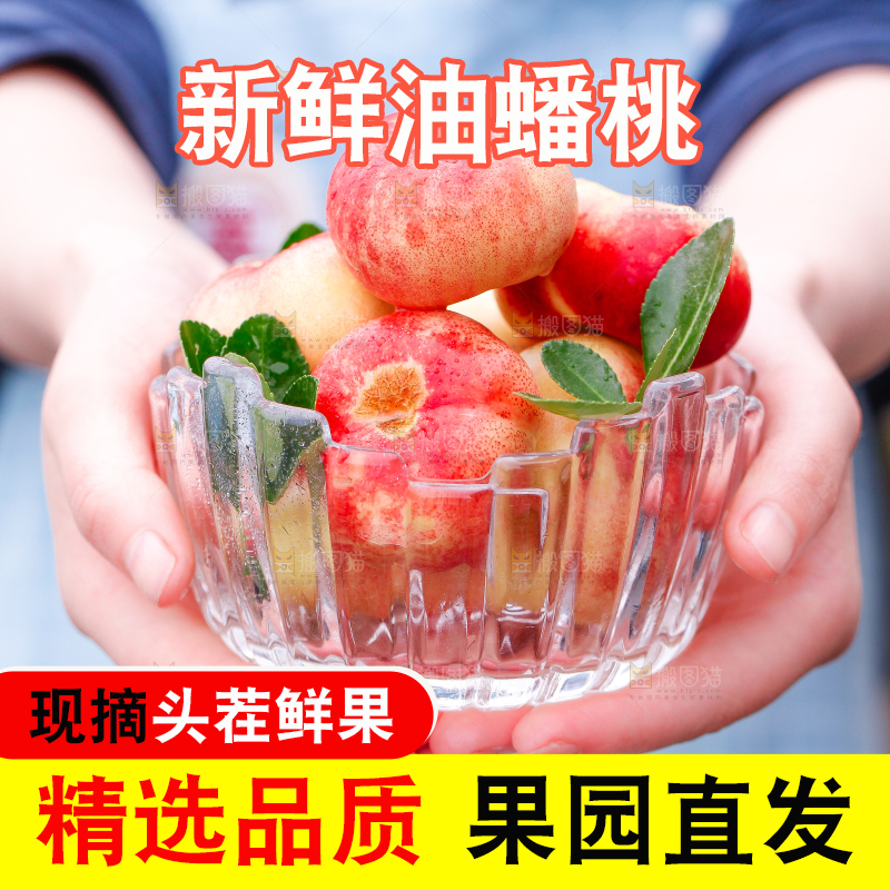 手里端着山东纽扣油蟠桃