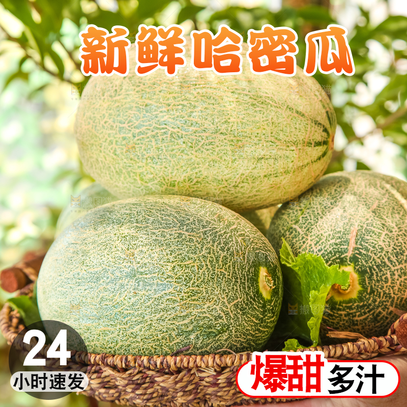 手里端着一篮网纹瓜