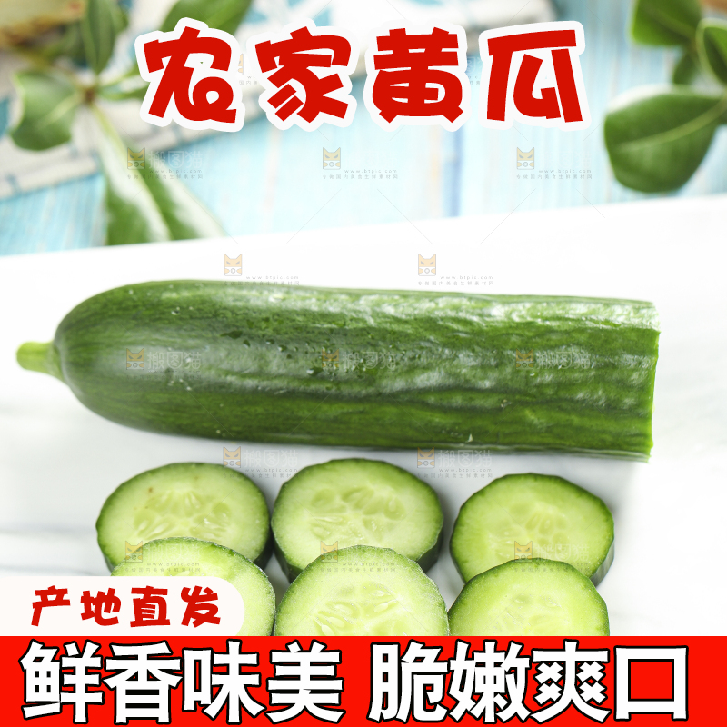 白底上摆放着小黄瓜