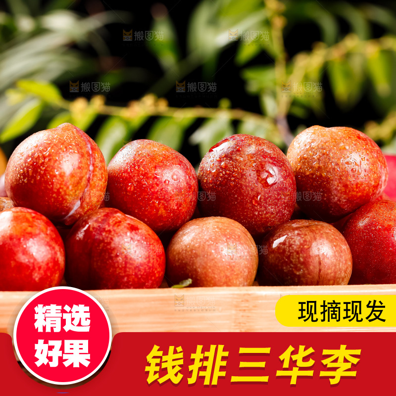 盘子里装着红肉三华李