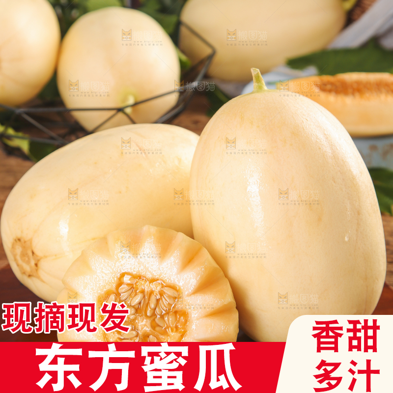 木底上摆放着州东方蜜一号甜瓜