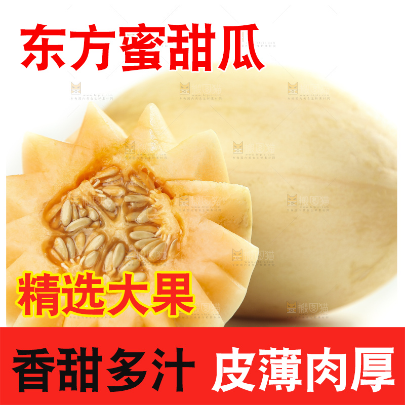 白底上摆放着台州东方蜜一号甜瓜