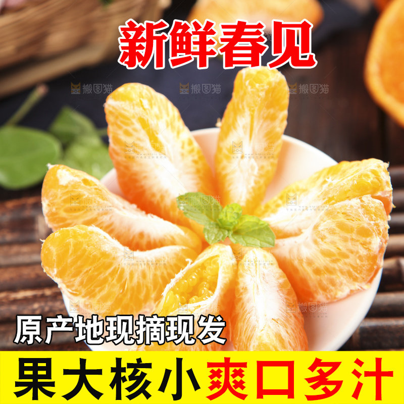 木板上的春见耙耙柑