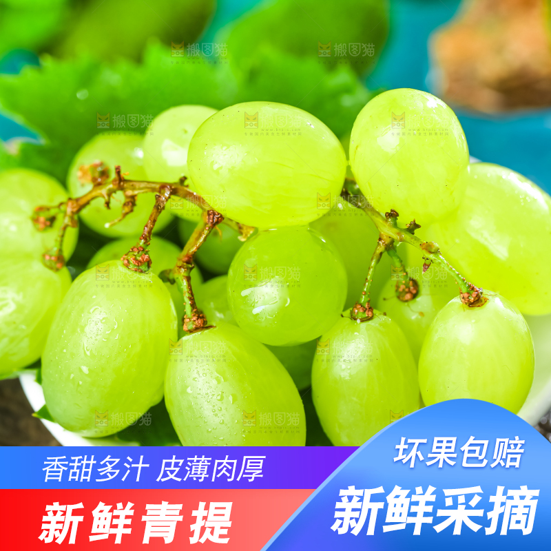 盘子里装着青提