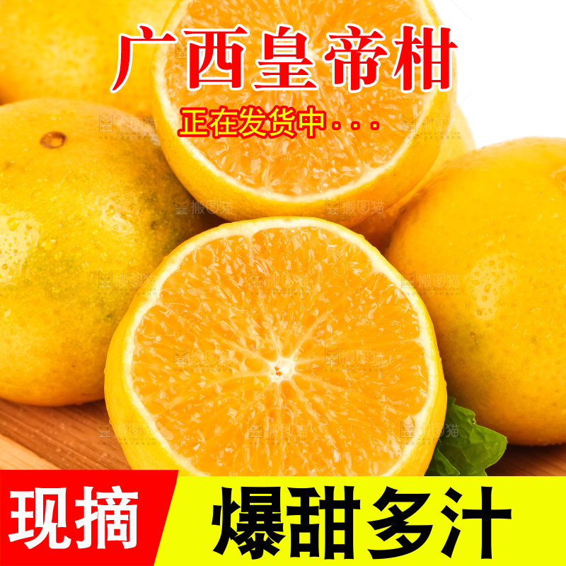白底木盘里的武鸣皇帝柑