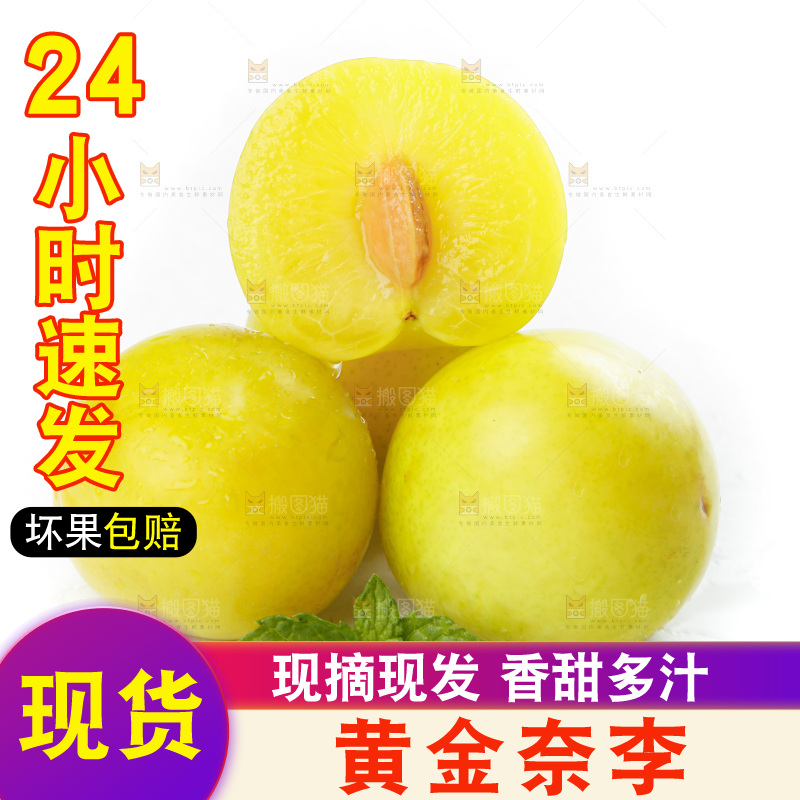 白底上的九峰山黄金奈李