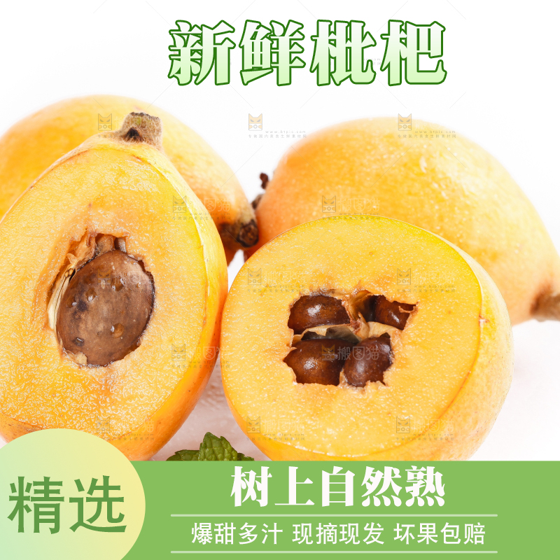 白底上摆放着新鲜枇杷