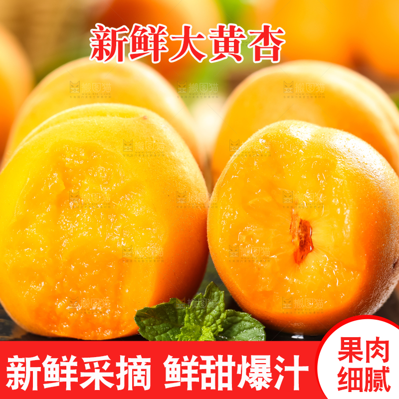 黑底上放着大黄杏