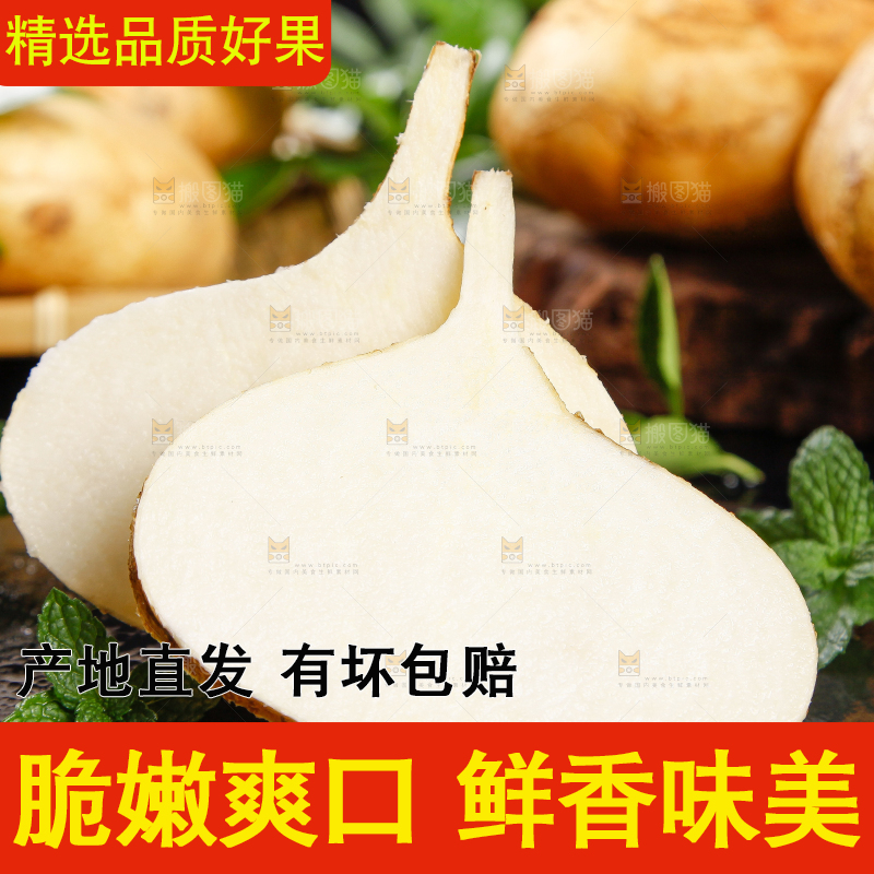 黑底上摆放着广西新鲜凉薯