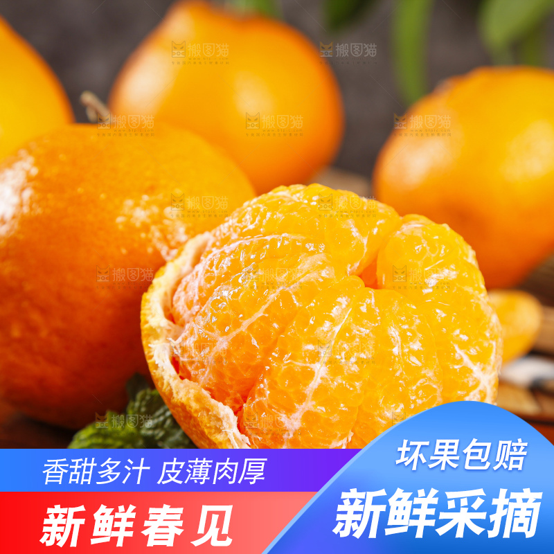 木板上放着春见耙耙柑