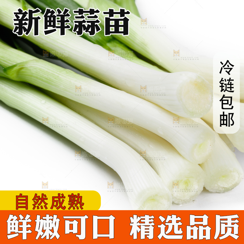 白底上的新鲜蒜苗