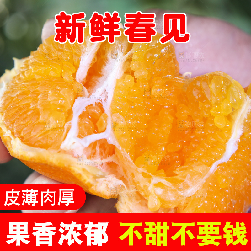 手里拿着耙耙柑