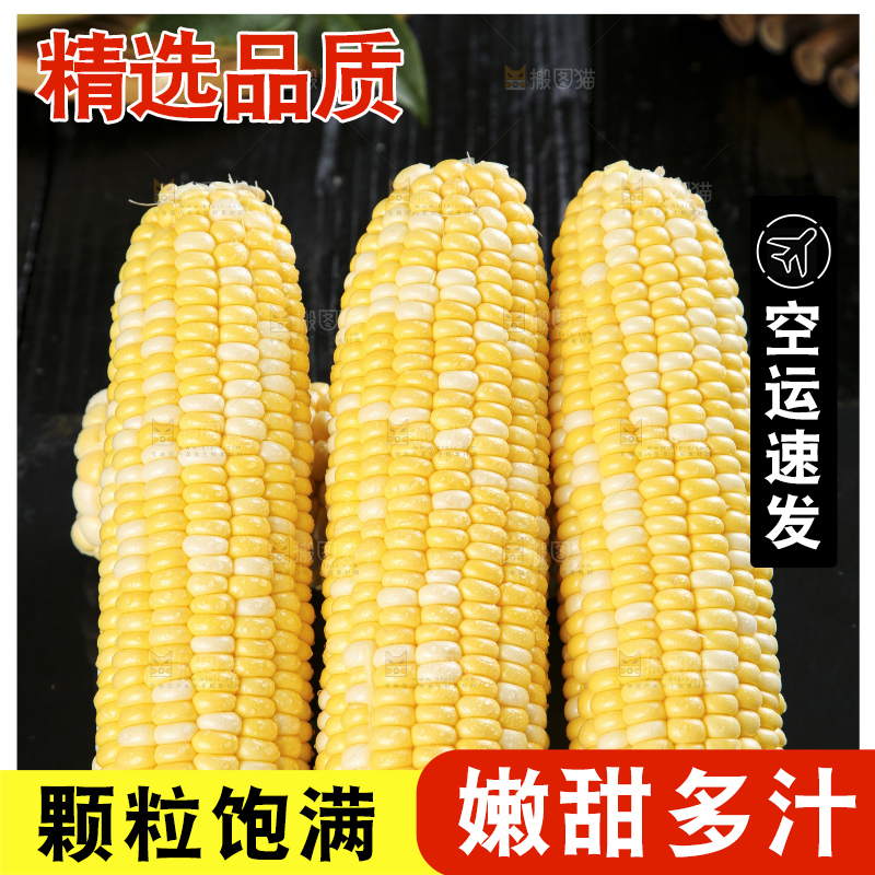 黑底上的云南水果玉米