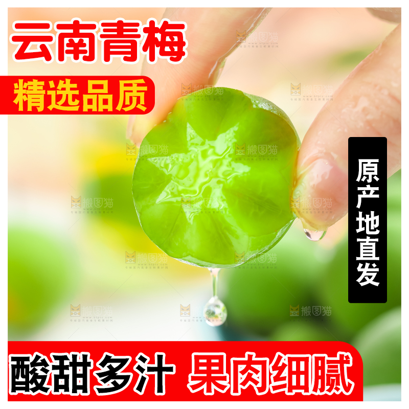 手上拿着新鲜青梅