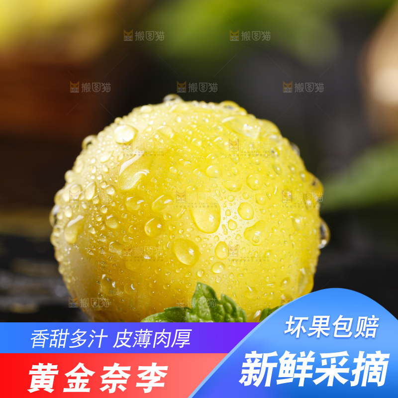 石板上放着九峰山黄金奈李