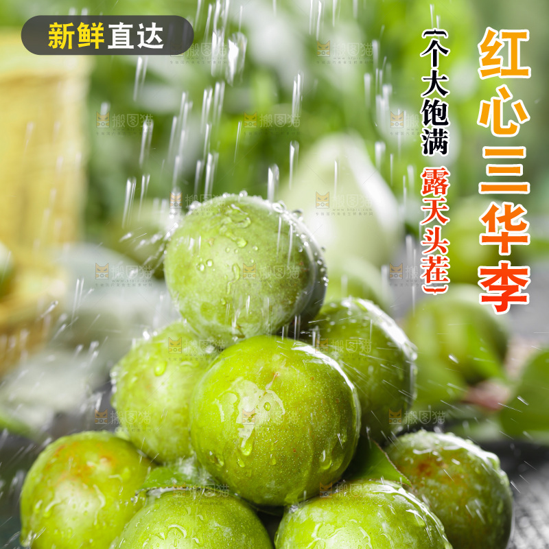 盘子里装着钱排三华李