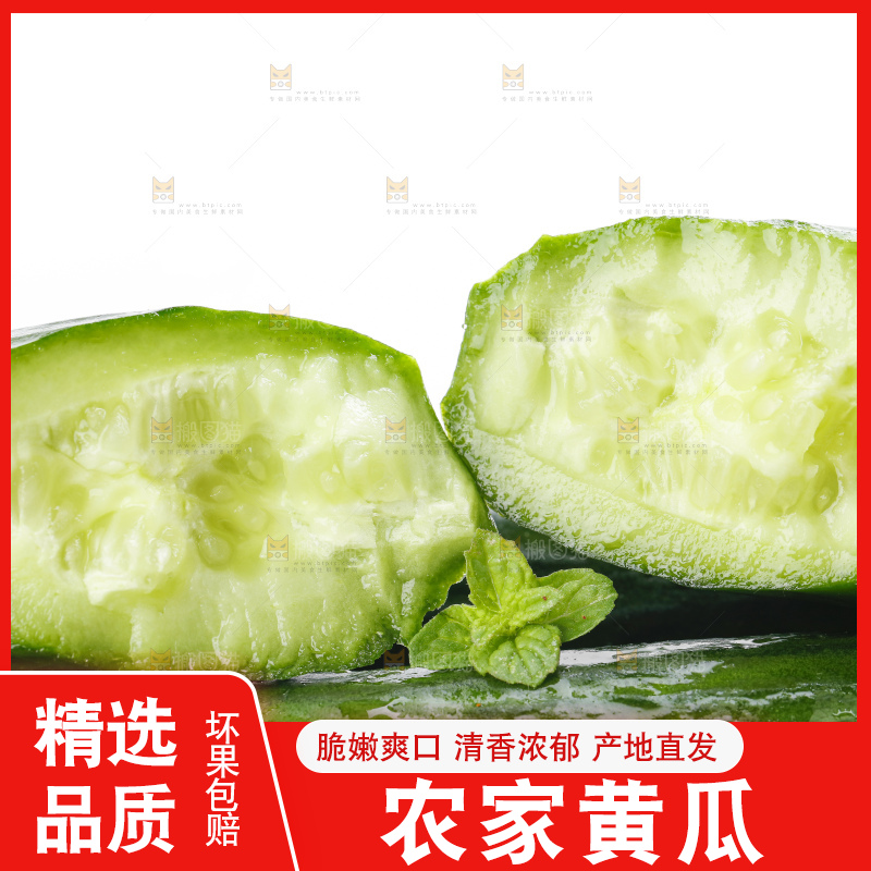 白底上摆放着嫩黄瓜