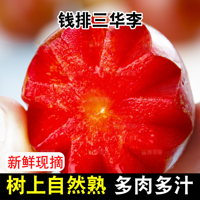 手里拿着钱排三华李