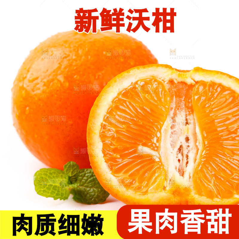 白底上放着广西沃柑
