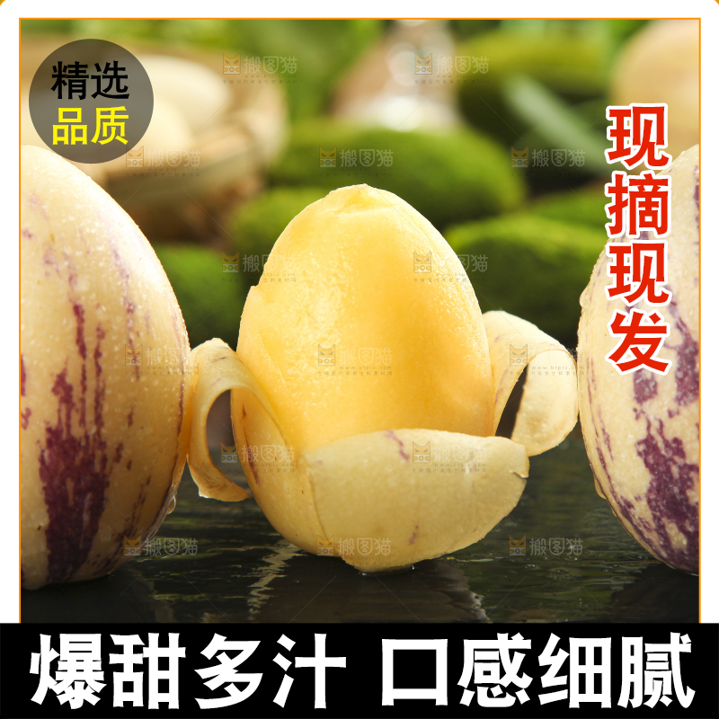 黑底上放着甘肃民勤人参果