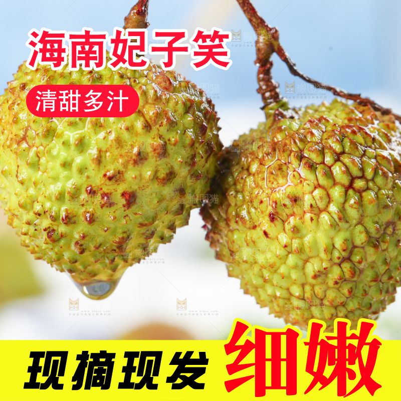 浅底上摆放着妃子笑荔枝