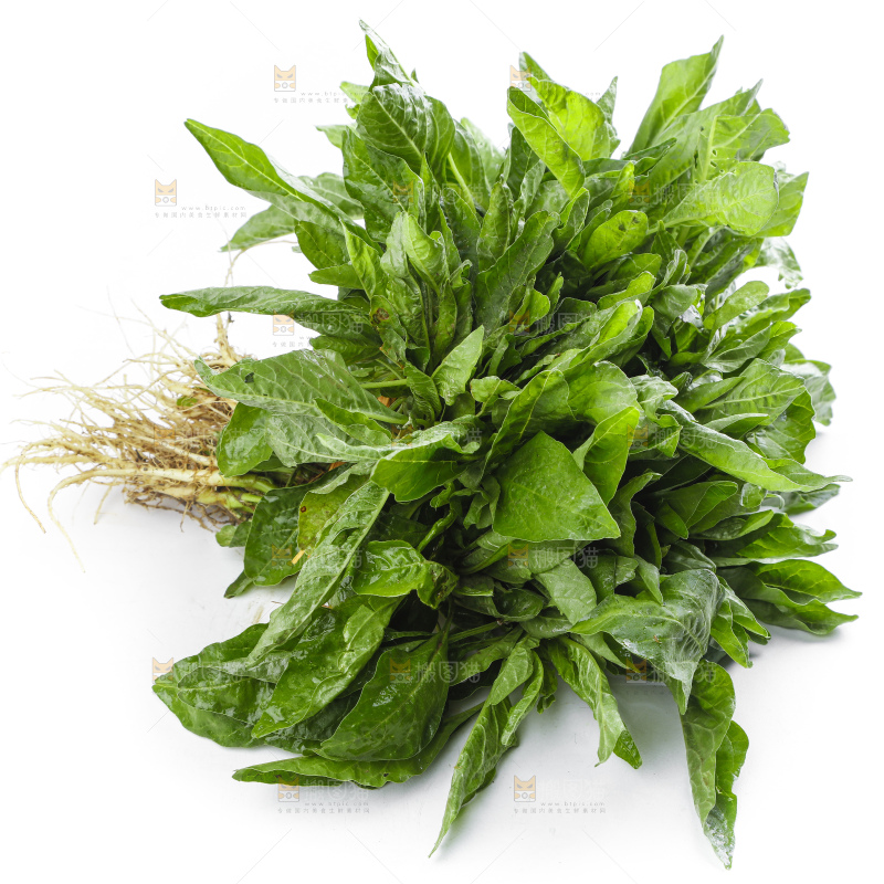 白底上放着一把苋菜