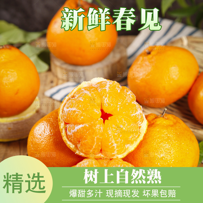 木板上放着春见耙耙柑