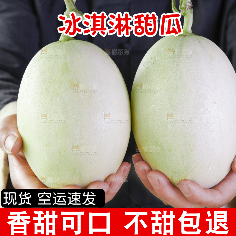 手里拿着新鲜玉菇香瓜