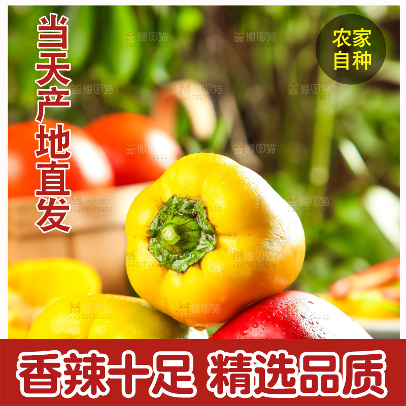 木板上的广西灯笼椒