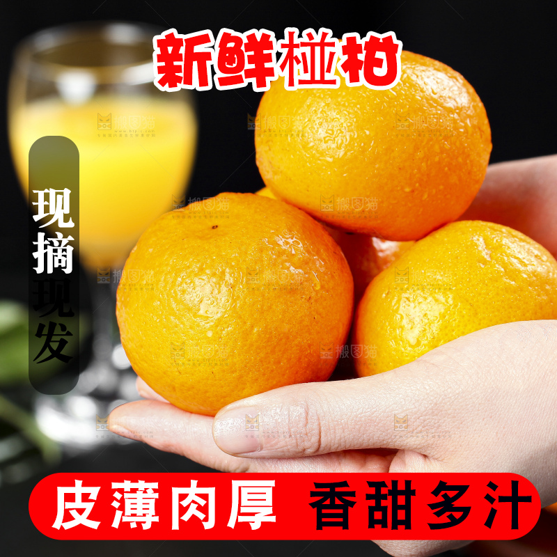 手里拿着椪柑橘