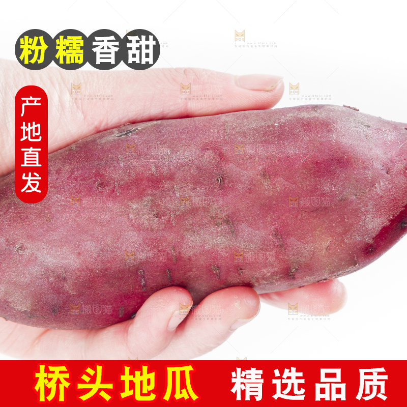 手里拿着黄心红薯