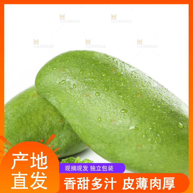 白底上的桂七香芒