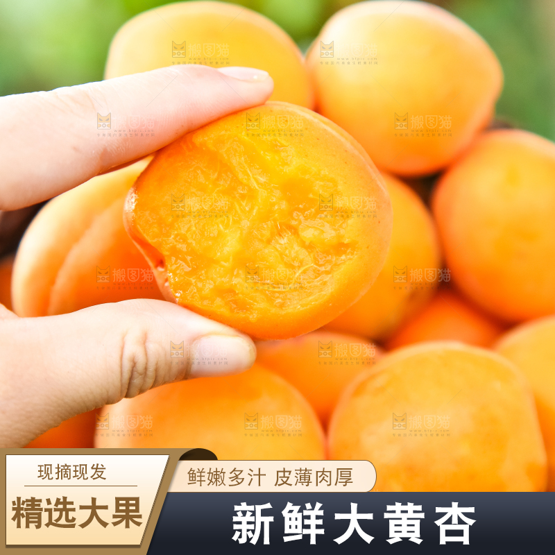 手里拿着黄杏