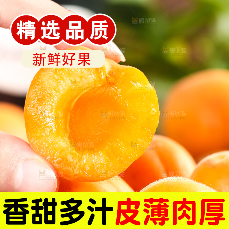 手里拿着黄杏