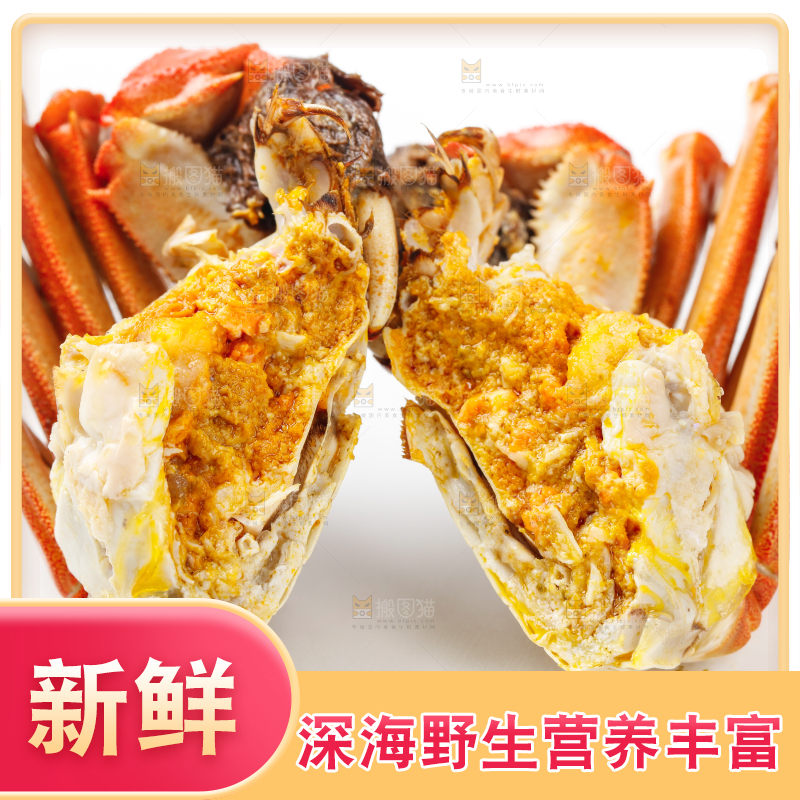 白底上的清蒸螃蟹