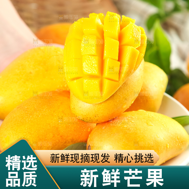 手里端着海南小台农芒果