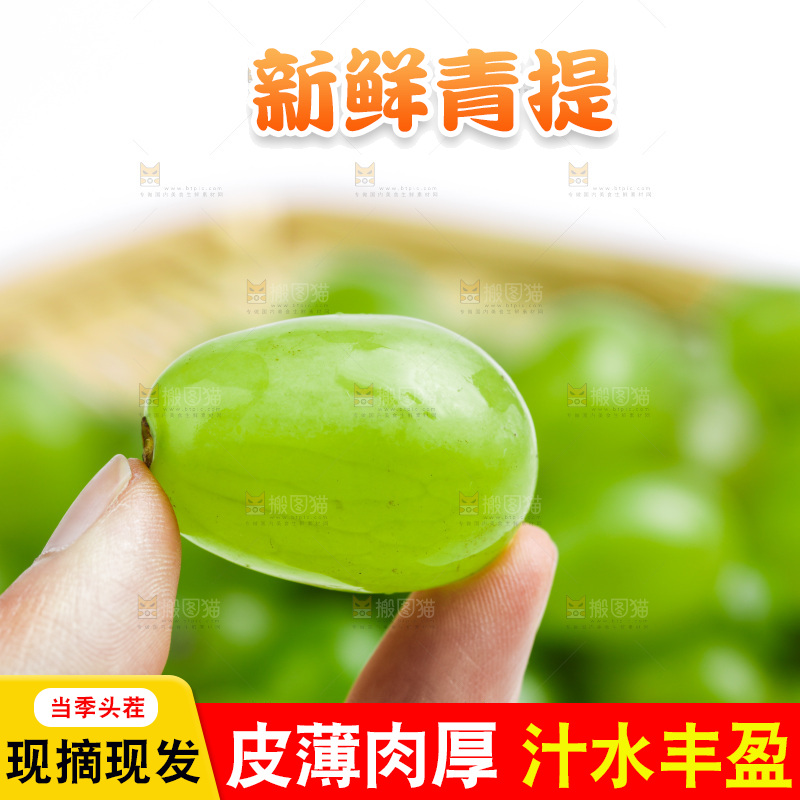 手拿青提