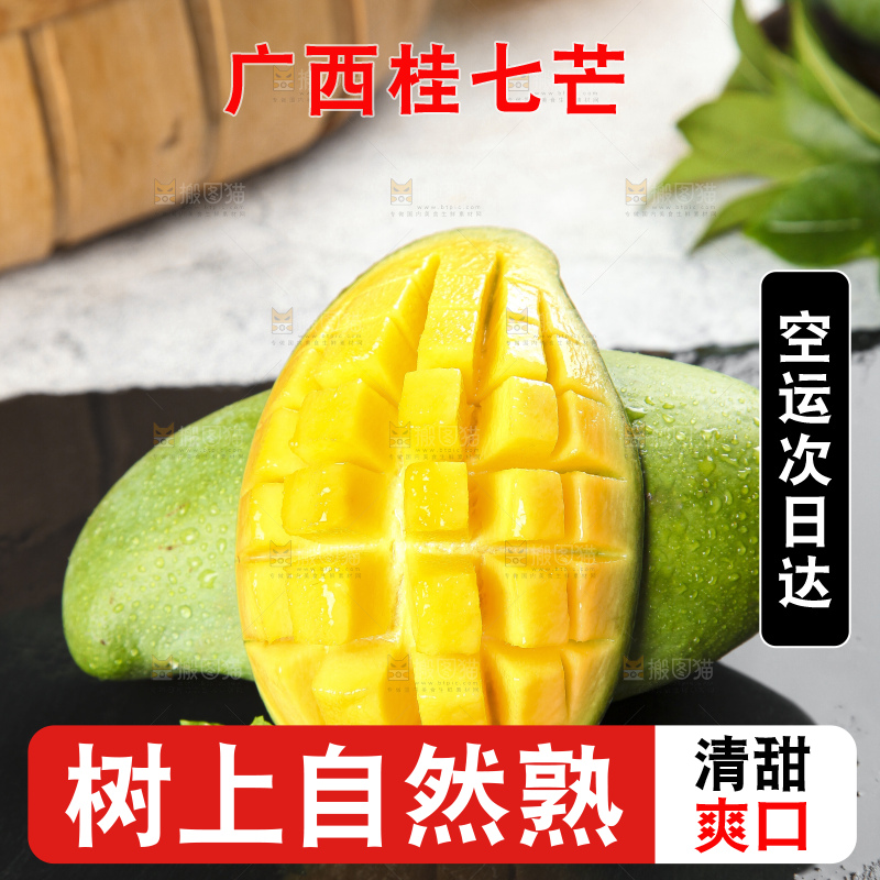 石板上的青皮桂七芒